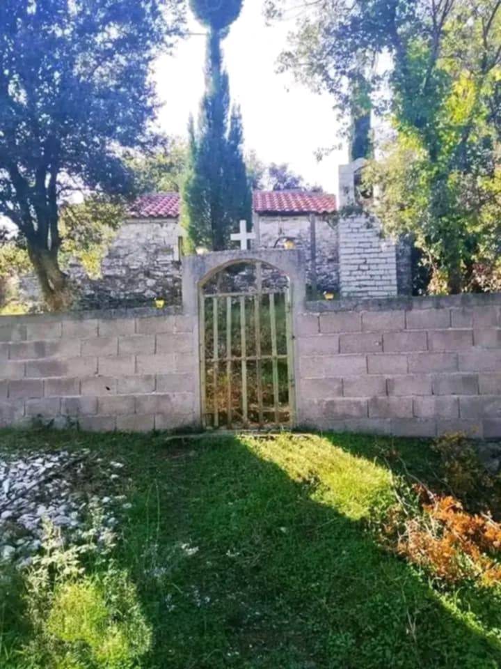Φωτογραφία 7